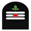 免费观影播放器 